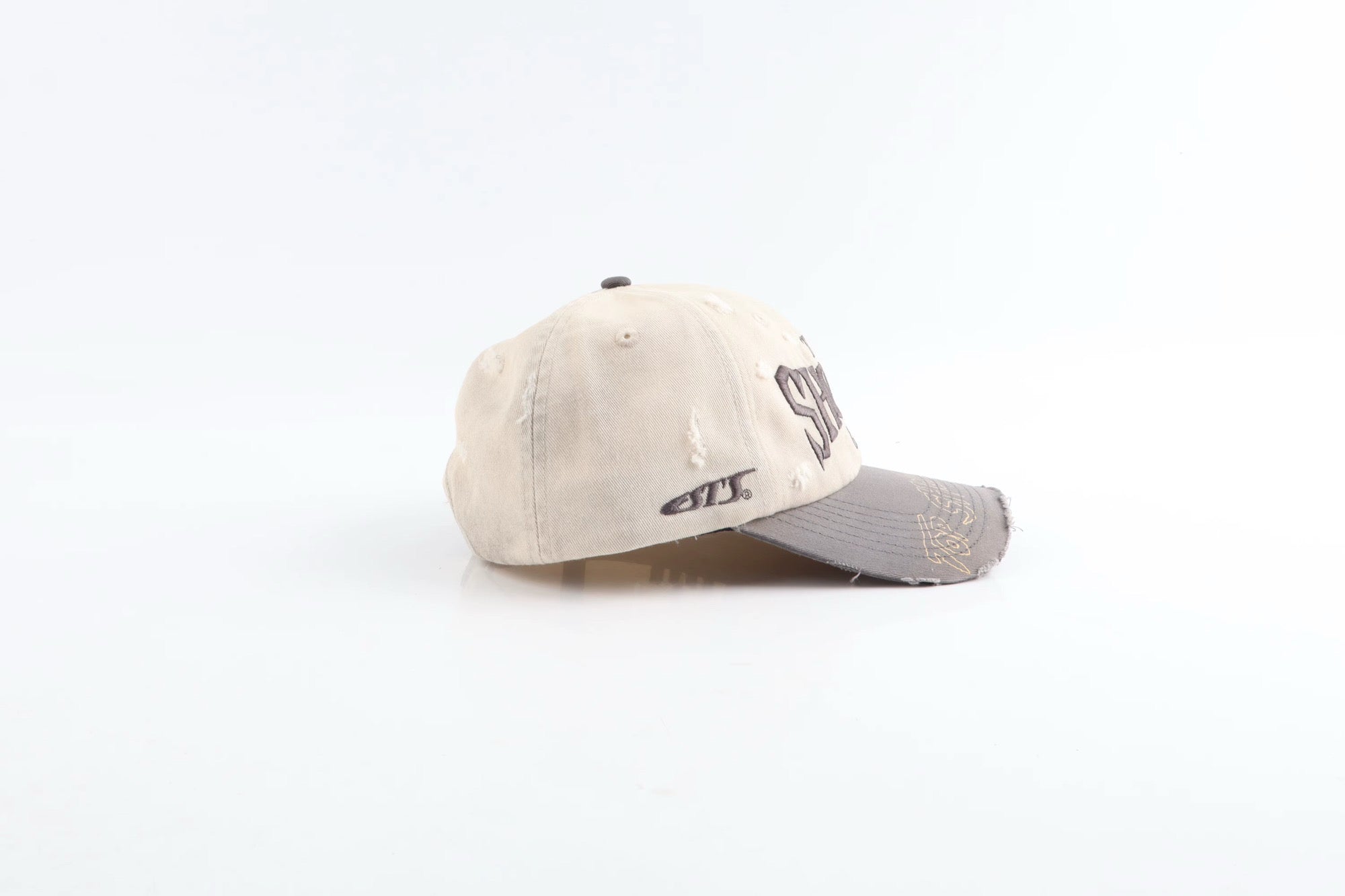 Distressed Resilience Hat