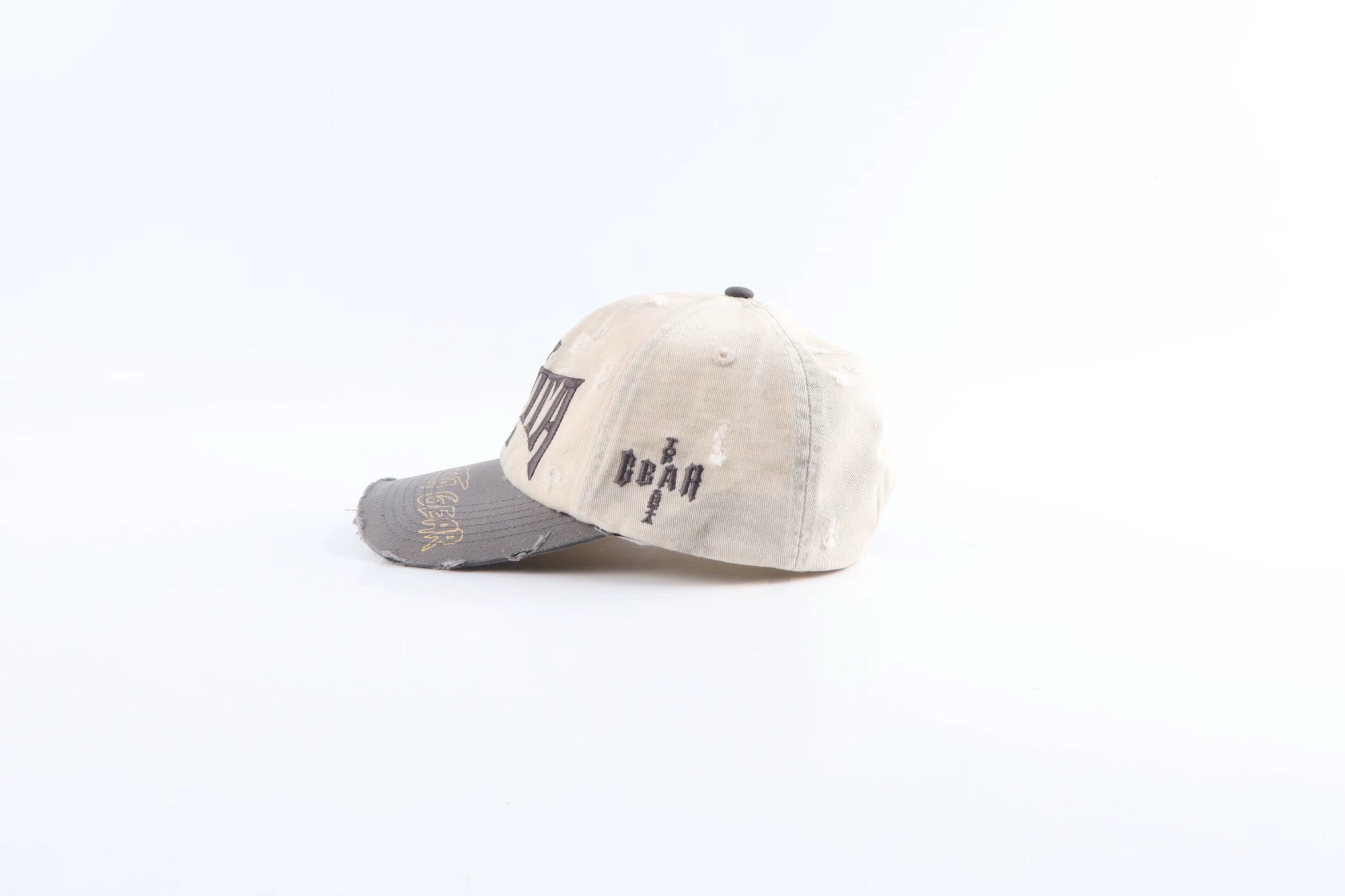 Distressed Resilience Hat